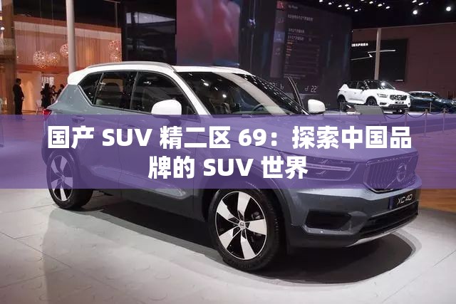 国产 SUV 精二区 69：探索中国品牌的 SUV 世界