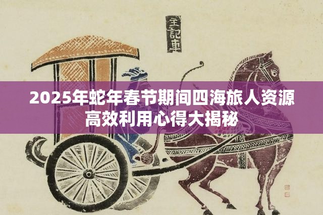 2025年蛇年春节期间四海旅人资源高效利用心得大揭秘