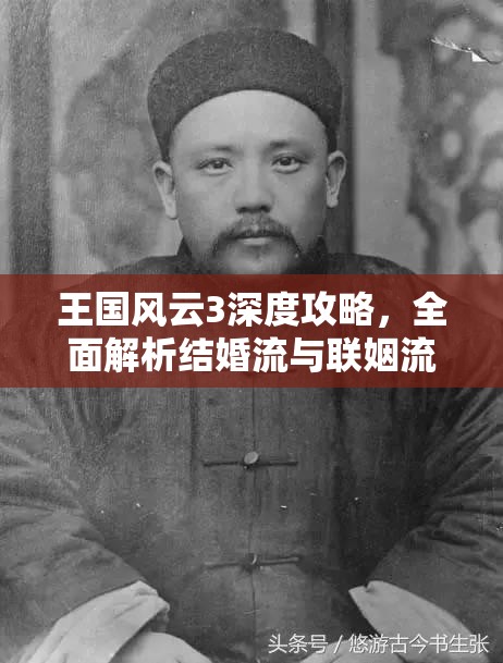 王国风云3深度攻略，全面解析结婚流与联姻流玩法策略