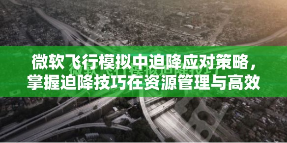 微软飞行模拟中迫降应对策略，掌握迫降技巧在资源管理与高效应用中的关键作用