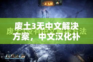 废土3无中文解决方案，中文汉化补丁使用指南及其在资源管理中的重要性与技巧