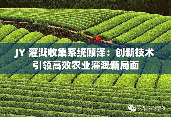 JY 灌溉收集系统顾泽：创新技术引领高效农业灌溉新局面