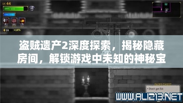 盗贼遗产2深度探索，揭秘隐藏房间，解锁游戏中未知的神秘宝藏