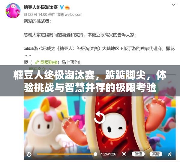 糖豆人终极淘汰赛，踮踮脚尖，体验挑战与智慧并存的极限考验