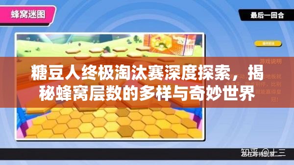 糖豆人终极淘汰赛深度探索，揭秘蜂窝层数的多样与奇妙世界