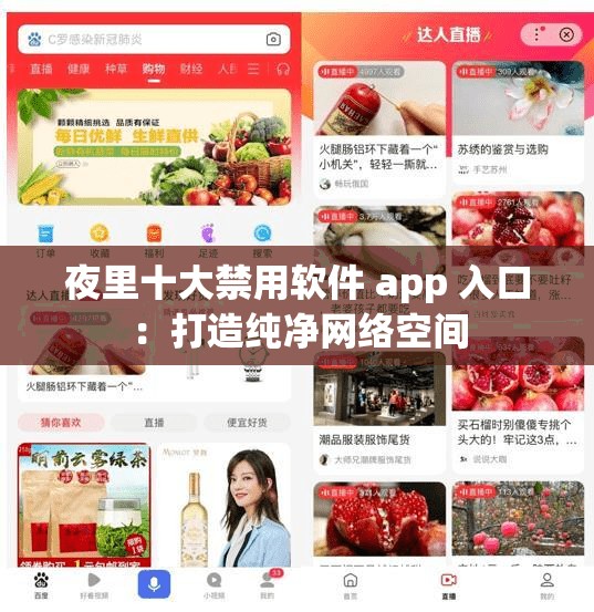 夜里十大禁用软件 app 入口：打造纯净网络空间