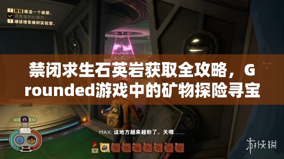 禁闭求生石英岩获取全攻略，Grounded游戏中的矿物探险寻宝之旅