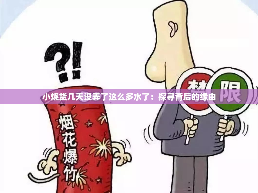 小烧货几天没弄了这么多水了：探寻背后的缘由