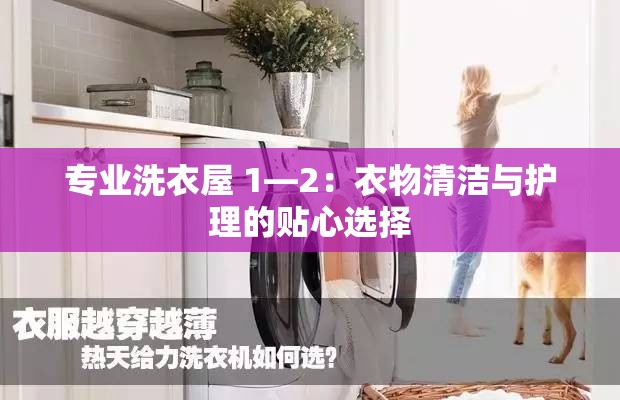 专业洗衣屋 1—2：衣物清洁与护理的贴心选择