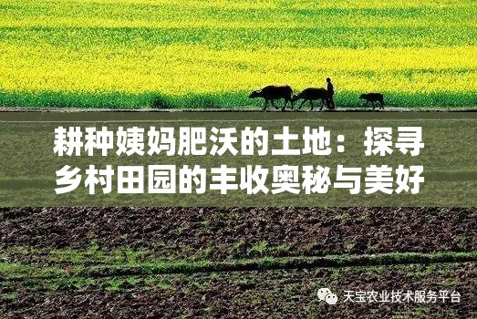 耕种姨妈肥沃的土地：探寻乡村田园的丰收奥秘与美好