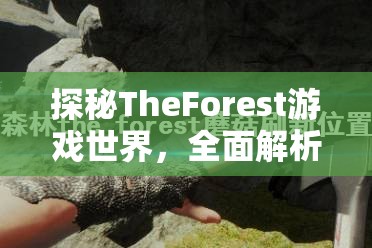 探秘TheForest游戏世界，全面解析蘑菇刷新位置，助你高效采菇不再迷路！