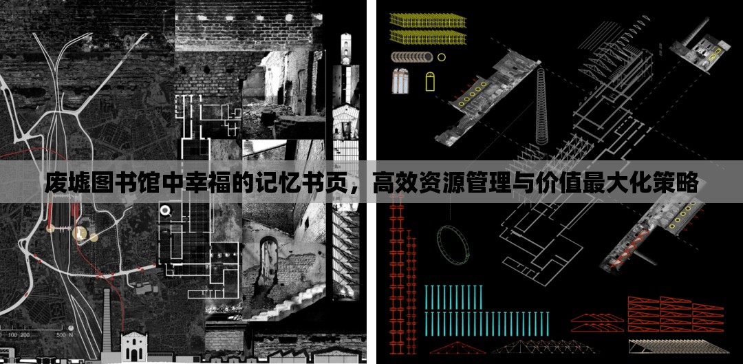 废墟图书馆中幸福的记忆书页，高效资源管理与价值最大化策略