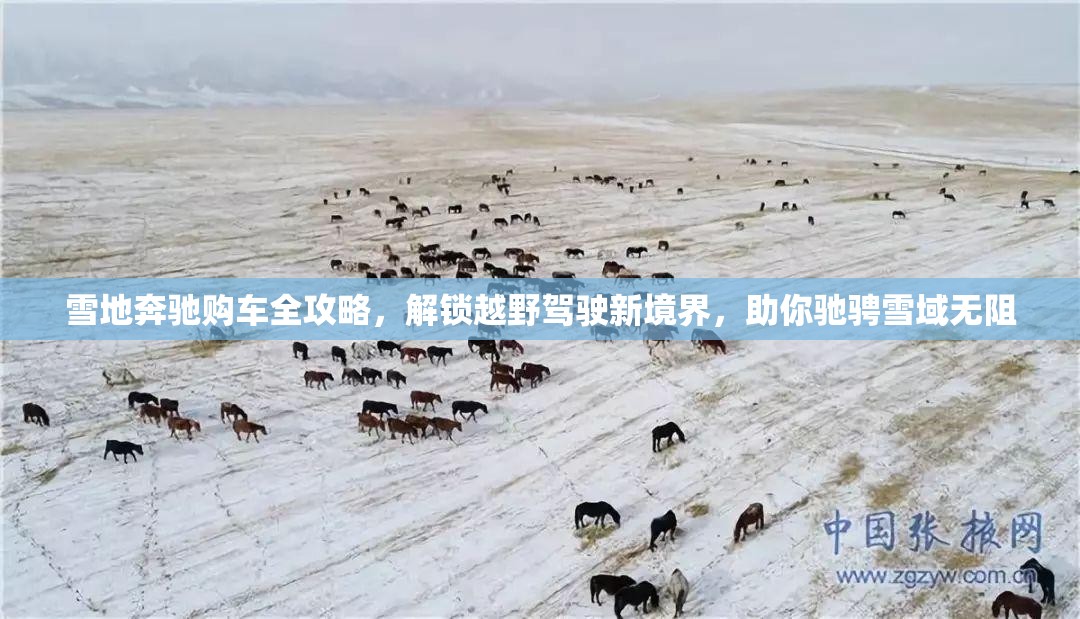 雪地奔驰购车全攻略，解锁越野驾驶新境界，助你驰骋雪域无阻