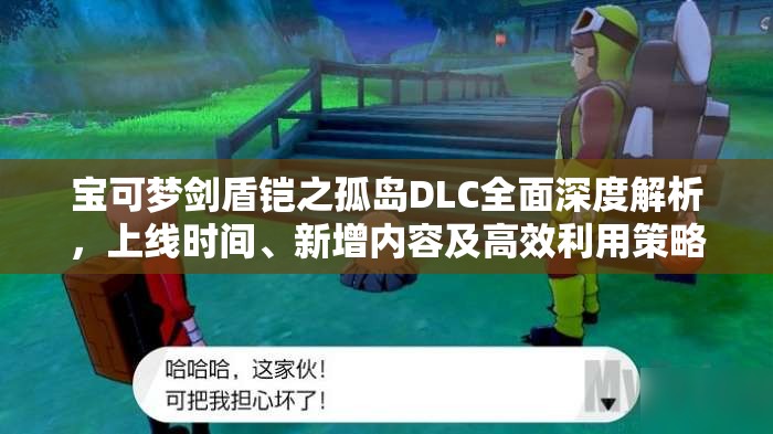 宝可梦剑盾铠之孤岛DLC全面深度解析，上线时间、新增内容及高效利用策略