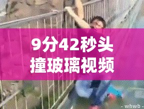 9分42秒头撞玻璃视频引发热议：意外瞬间全记录及安全警示分析