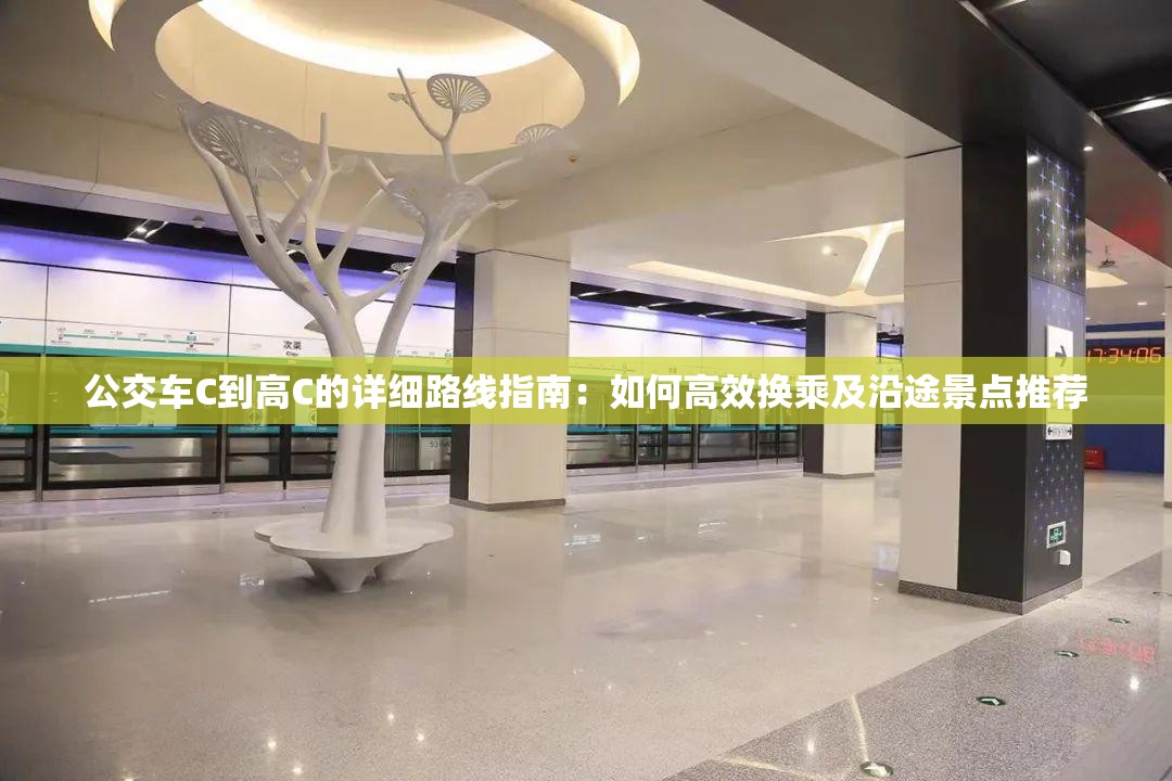 公交车C到高C的详细路线指南：如何高效换乘及沿途景点推荐