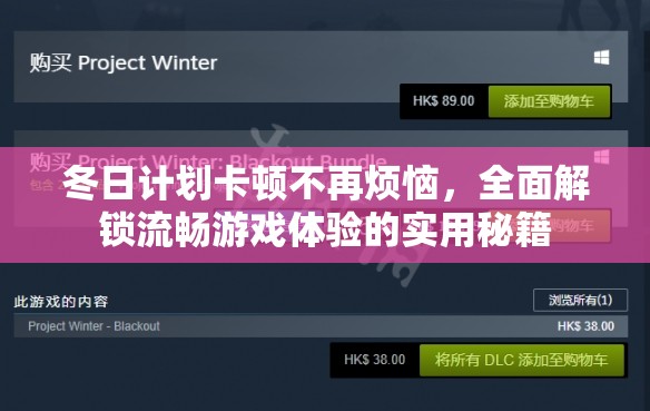 冬日计划卡顿不再烦恼，全面解锁流畅游戏体验的实用秘籍