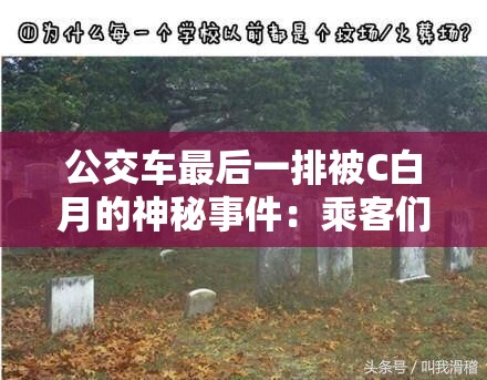 公交车最后一排被C白月的神秘事件：乘客们的真实经历与未解之谜