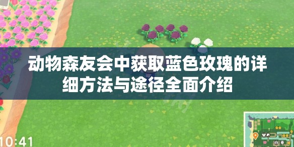 动物森友会中获取蓝色玫瑰的详细方法与途径全面介绍