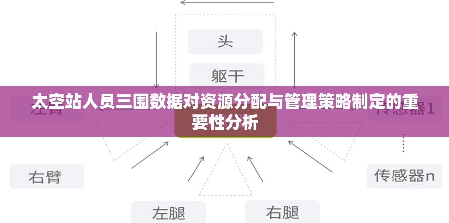 太空站人员三围数据对资源分配与管理策略制定的重要性分析