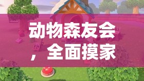 动物森友会，全面摸家具攻略，带你解锁新家具的奇妙探索之旅