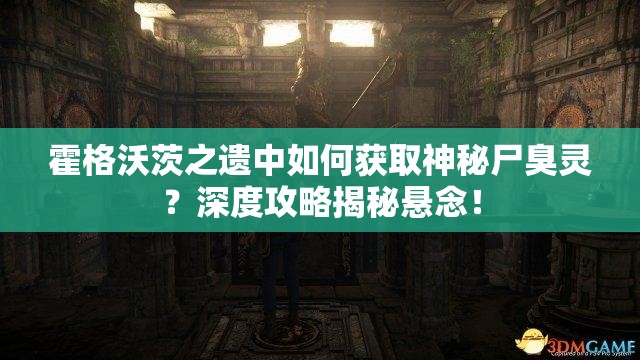 霍格沃茨之遗中如何获取神秘尸臭灵？深度攻略揭秘悬念！