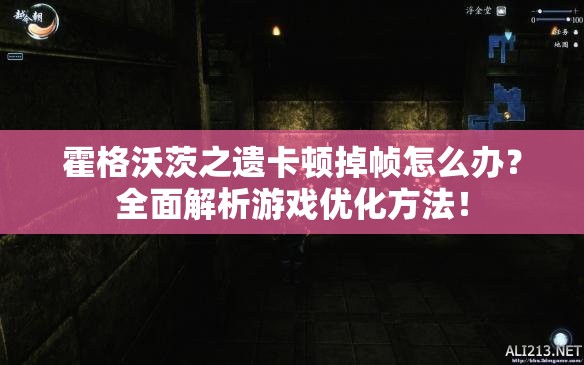 霍格沃茨之遗卡顿掉帧怎么办？全面解析游戏优化方法！