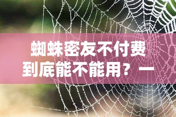 蜘蛛密友不付费到底能不能用？一文带你了解其使用情况真相