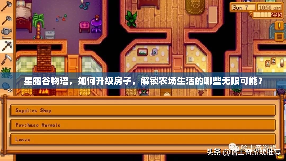 星露谷物语，如何升级房子，解锁农场生活的哪些无限可能？