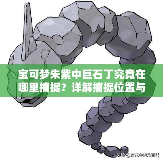 宝可梦朱紫中巨石丁究竟在哪里捕捉？详解捕捉位置与资源管理策略