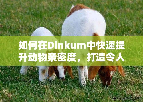 如何在Dinkum中快速提升动物亲密度，打造令人羡慕的温馨牧场？