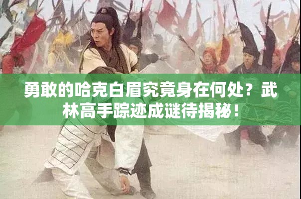 勇敢的哈克白眉究竟身在何处？武林高手踪迹成谜待揭秘！