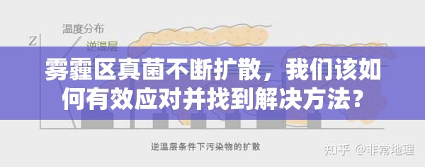 雾霾区真菌不断扩散，我们该如何有效应对并找到解决方法？