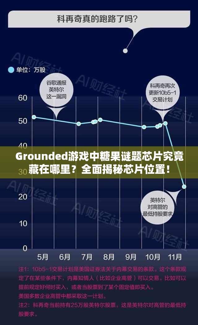 Grounded游戏中糖果谜题芯片究竟藏在哪里？全面揭秘芯片位置！