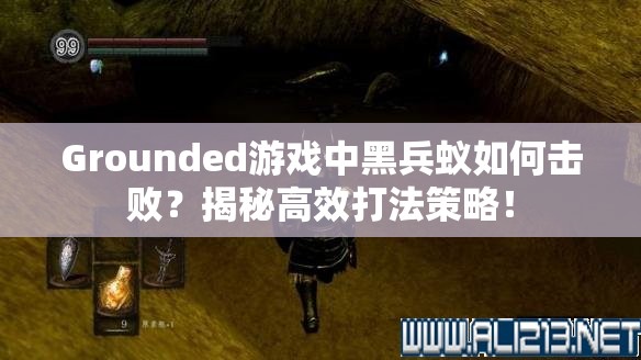 Grounded游戏中黑兵蚁如何击败？揭秘高效打法策略！