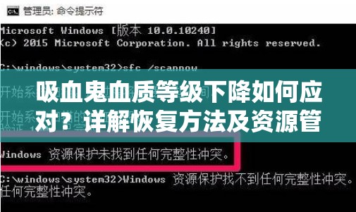 吸血鬼血质等级下降如何应对？详解恢复方法及资源管理策略