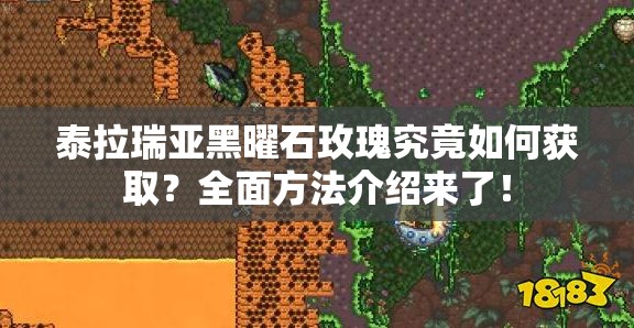 泰拉瑞亚黑曜石玫瑰究竟如何获取？全面方法介绍来了！