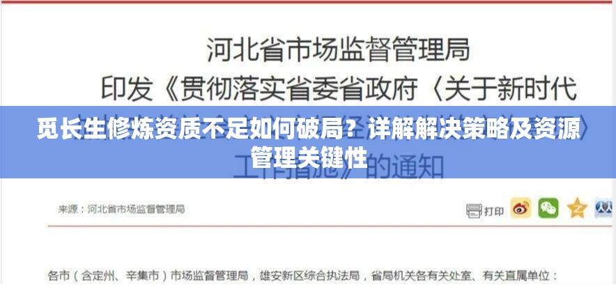 觅长生修炼资质不足如何破局？详解解决策略及资源管理关键性