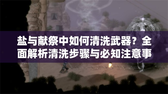 盐与献祭中如何清洗武器？全面解析清洗步骤与必知注意事项