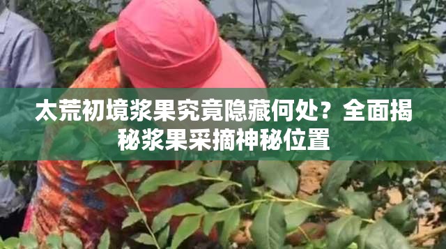 太荒初境浆果究竟隐藏何处？全面揭秘浆果采摘神秘位置