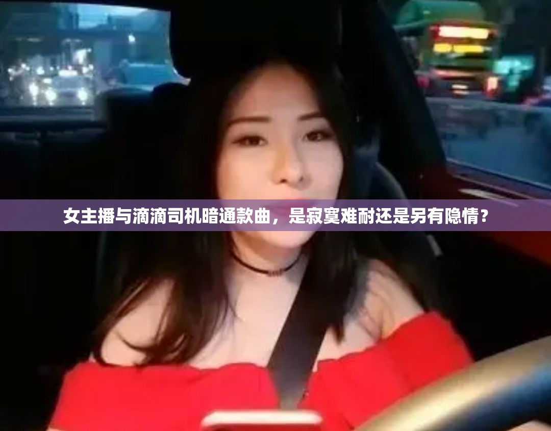 女主播与滴滴司机暗通款曲，是寂寞难耐还是另有隐情？