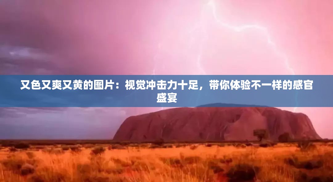 又色又爽又黄的图片：视觉冲击力十足，带你体验不一样的感官盛宴