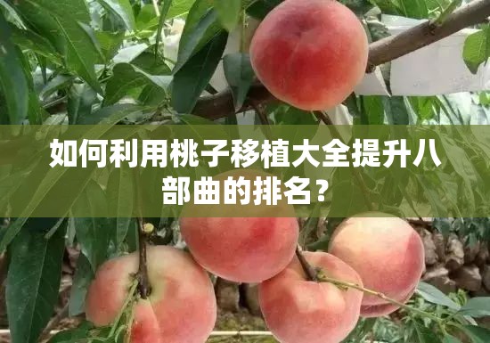 如何利用桃子移植大全提升八部曲的排名？