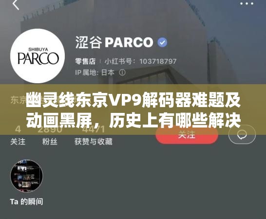 幽灵线东京VP9解码器难题及动画黑屏，历史上有哪些解决方案演变？