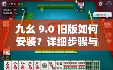 九幺 9.0 旧版如何安装？详细步骤与注意事项大揭秘