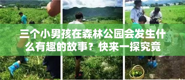 三个小男孩在森林公园会发生什么有趣的故事？快来一探究竟