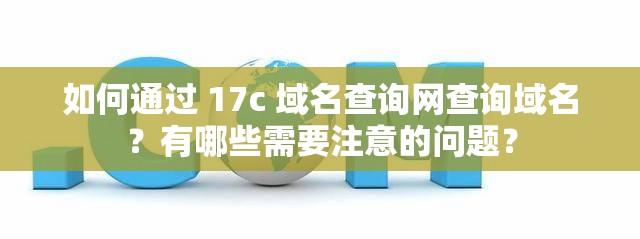 如何通过 17c 域名查询网查询域名？有哪些需要注意的问题？