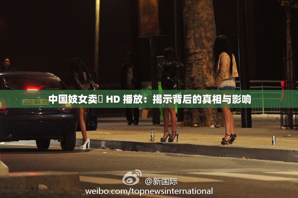 中国妓女卖婬 HD 播放：揭示背后的真相与影响