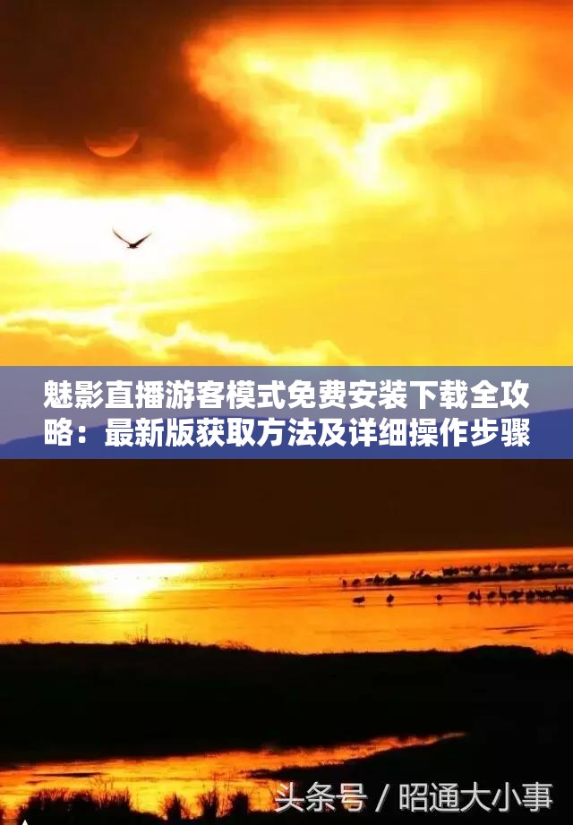 魅影直播游客模式免费安装下载全攻略：最新版获取方法及详细操作步骤解析解析：完整保留用户关键词魅影直播游客模式免费安装下载，采用攻略+方法解析的实用型结构，符合百度用户搜索习惯通过最新版突出时效性，详细操作步骤暗示教程价值，自然融入获取方法等高频搜索延伸词，总字数34字符合SEO长度标准整体结构既解决用户核心需求，又覆盖了潜在长尾关键词，有效提升搜索可见性