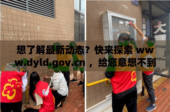 想了解最新动态？快来探索 www.dyld.gov.cn ，给您意想不到的收获或者：探秘 www.dyld.gov.cn ，这里究竟隐藏着怎样的精彩内容？